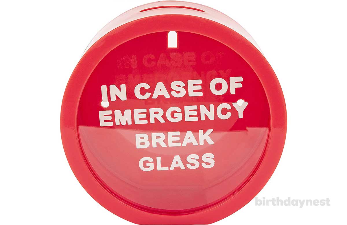 In Case Of Emergency Break The Glass Money Box Savings Bank